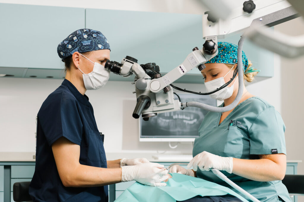 Wurzelspitzenresektion Oralchirurgie Dr. Amelie Parvany